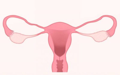 ¿Qué es una biopsia endometrial?