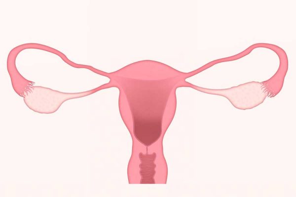 ¿Qué es una biopsia endometrial?